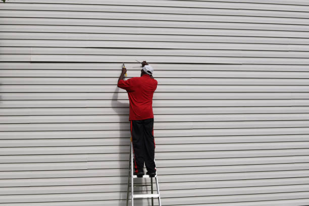 Affordable Siding Repair and Maintenance Services in Collinwood, TN